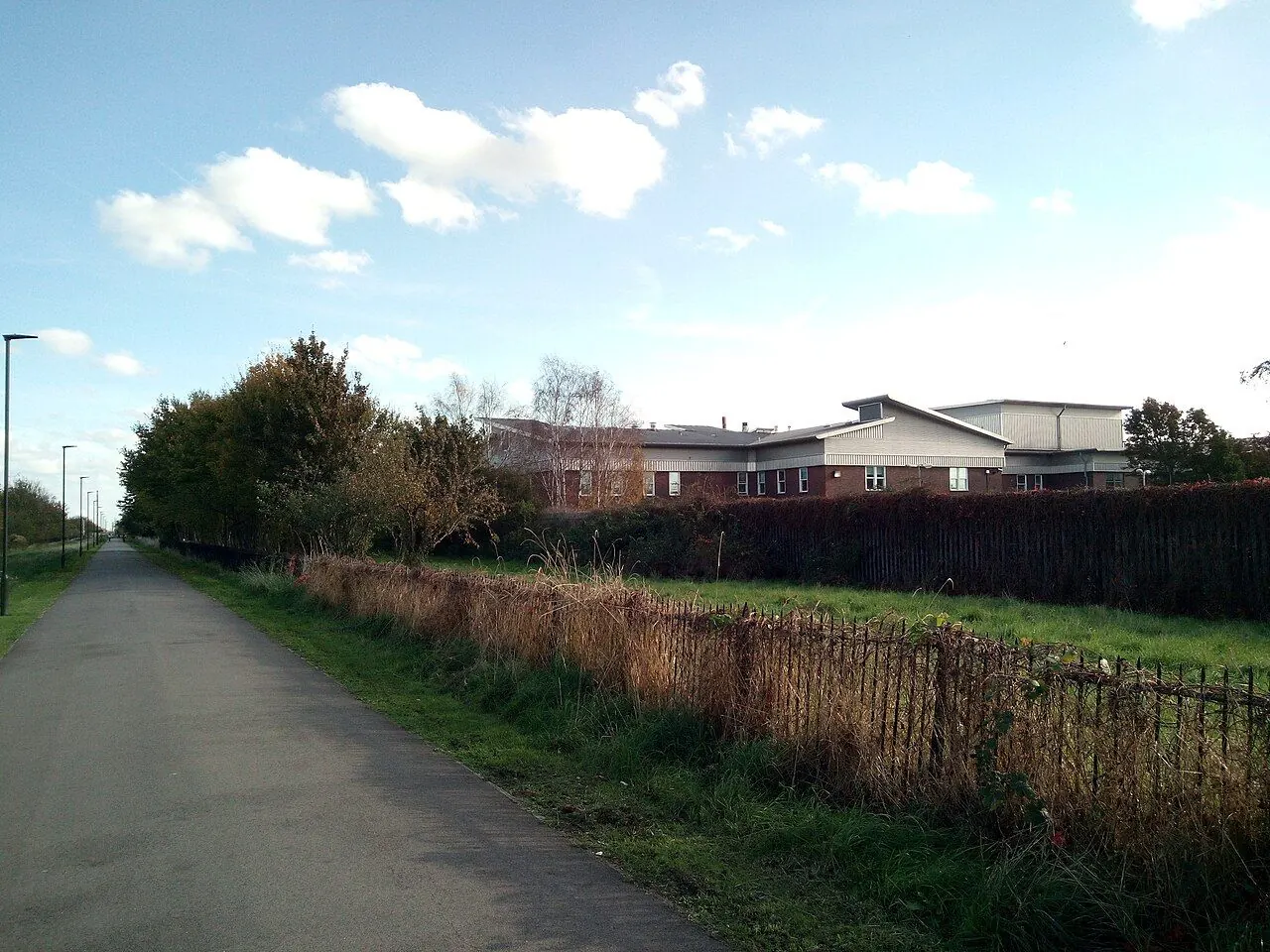 Maternity Care at Newham General