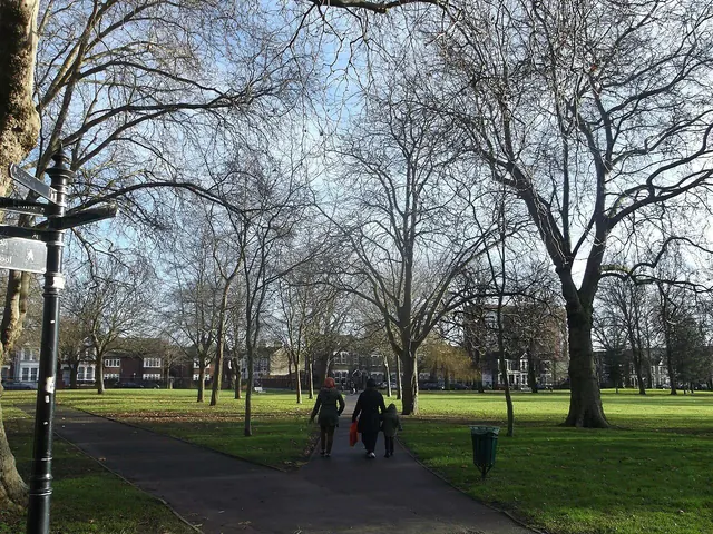 Palshet Park paths (2) - geograph.org.uk - 3264115