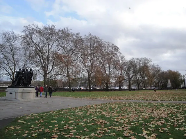 Autumnal trees at Victoria Tower Gardens