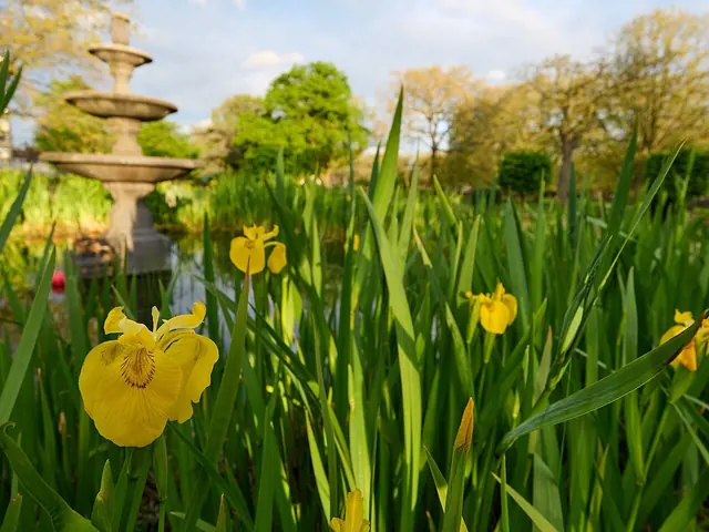 Park path lined with trees and flower beds