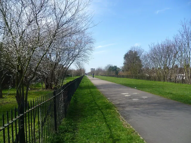 Straight tree-lined path on a raised embankment