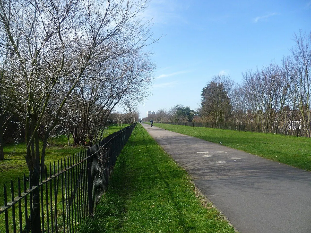 Straight tree-lined path on a raised embankment